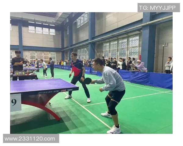 成都乒乓球队的速度之道探秘与训练技巧分享