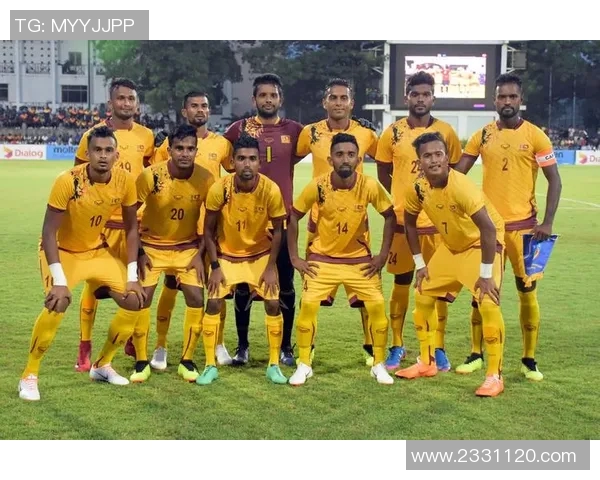 204厘米足球明星的传奇之路与巅峰时刻揭秘 204厘米足球明星的传奇之路与巅峰时刻揭秘