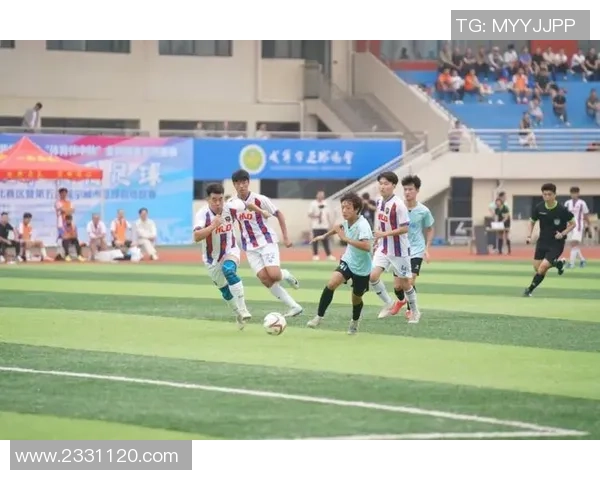 探索湖北咸宁的足球明星及其在中国足球界的影响力与成就