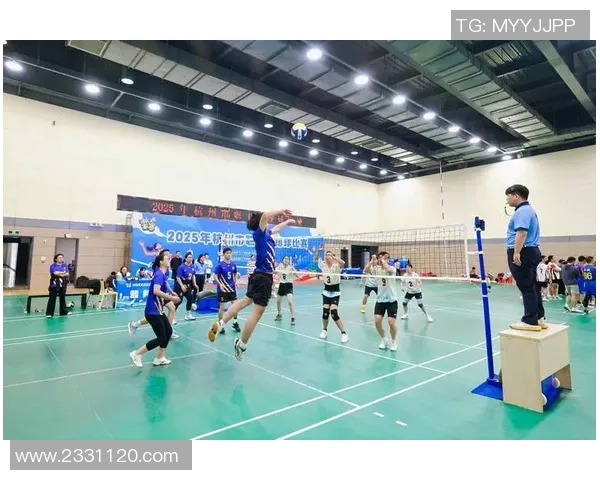 杭州排球队逆袭之路的真实记录与背后故事揭秘