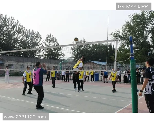 赵磊独家分享排球技巧与心得助你提升技术水平与比赛表现 赵磊独家分享排球技巧与心得助你提升技术水平与比赛表现