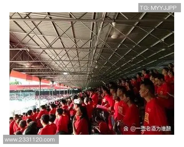 足球明星纷纷点赞最新比赛精彩瞬间引发球迷热议与关注